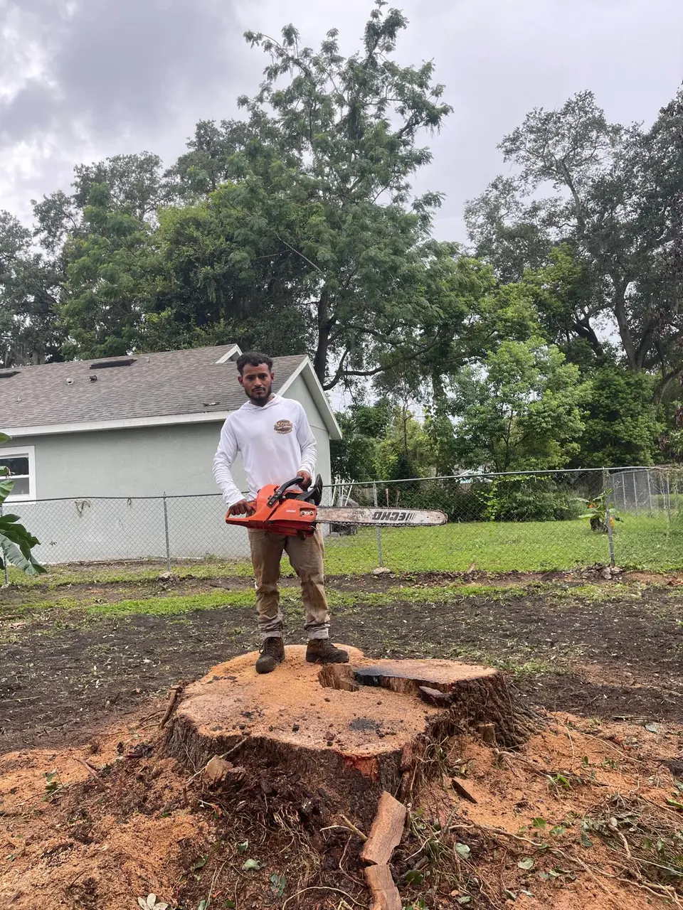 Completed large residential tree removal in Ocoee with the trunk removed from the property